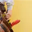 Handyman repair service in Hollywood, FL for home fixes and improvements